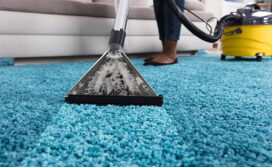carpetd